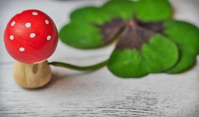  好运气|夜读 | 你必须很努力，才会遇到好运气