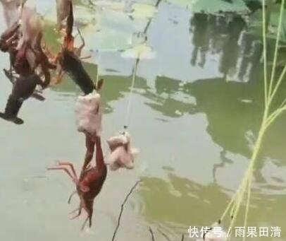 男子|男子买来3块钱猪大肠,把它扔进水里,3小时后赚了300块!