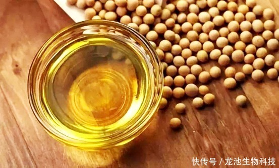  健康点评|大豆油、橄榄油、牡丹籽油...龙池牡丹带你开启吃油新方式