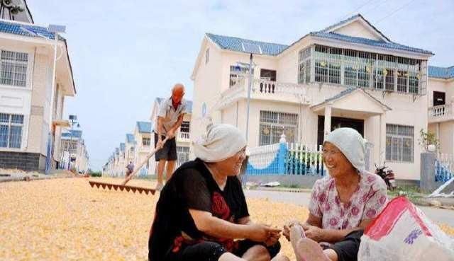 二伏|俗话说“头伏饺子二伏面,三伏烙饼摊鸡蛋”,啥意思看完明白