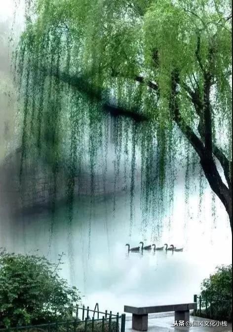  潇湘|渔家傲——潇湘夜雨