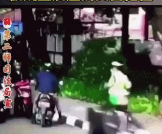  小可爱|这些小可爱是真实存在的吗？