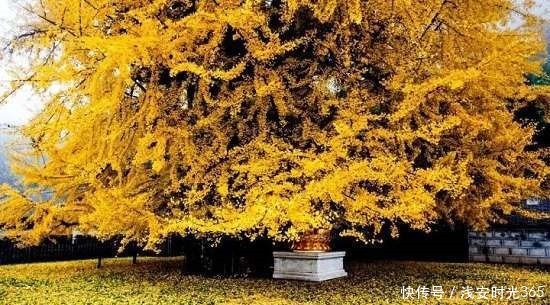 真准|喝一次酒,就看出一个人的性情!真准!(深度好文)