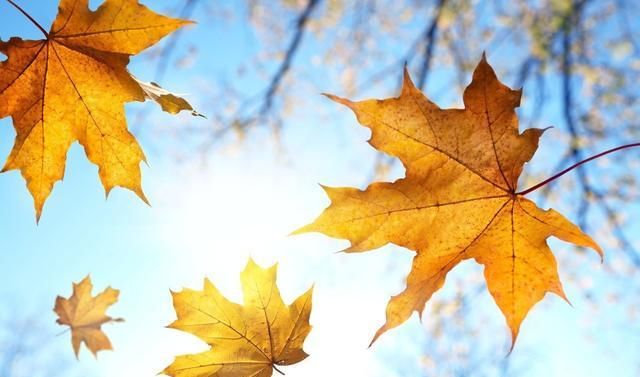 选择|在路的前方,你会看到等着你的,是那个了不起的自己