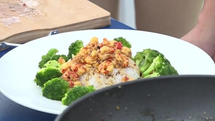  鱼虾|云赏金龙鱼虾田稻，共忆香韵外婆情