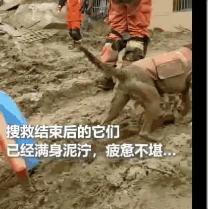  眼泪|12年后这一幕重上热搜，才发现我们都欠2008一场眼泪