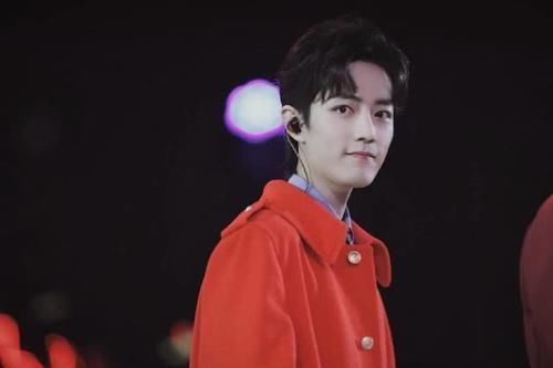  无可|肖战顶流定位无可撼动两大电视台为他辟谣，46万人线上为他投票