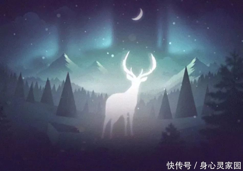 连接|九位开悟心灵导师谈:如何连接真正的美好