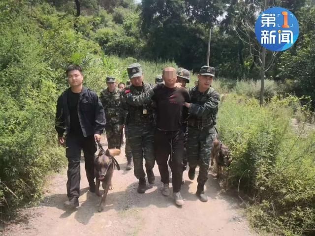  刑事案件|快讯！陕西凤翔2死1伤重大刑事案件犯罪嫌疑人已被抓获