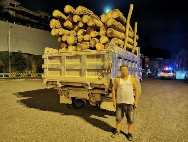  往里面|几根木头搭建“简易货箱”司机往里面堆放了1.7米高的货