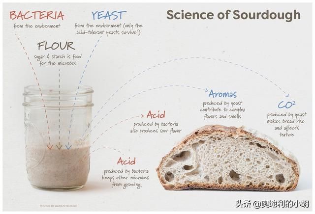  外国人|老面面包为什么更健康？外国人这么喜欢老面酸面包，原因很简单