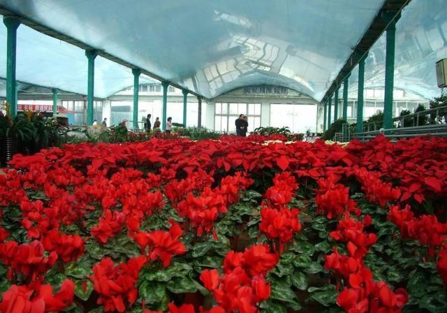 身份证|这些景区凭身份证就能进，你知道吗？