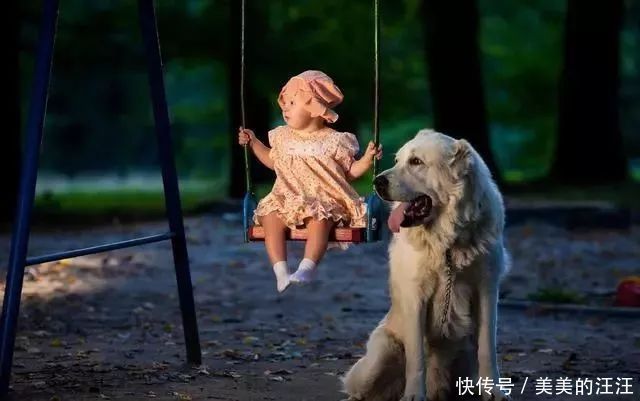  孩子|揭秘：为什么狗狗和小孩玩得来？两者间的“神奇关系”很有趣！