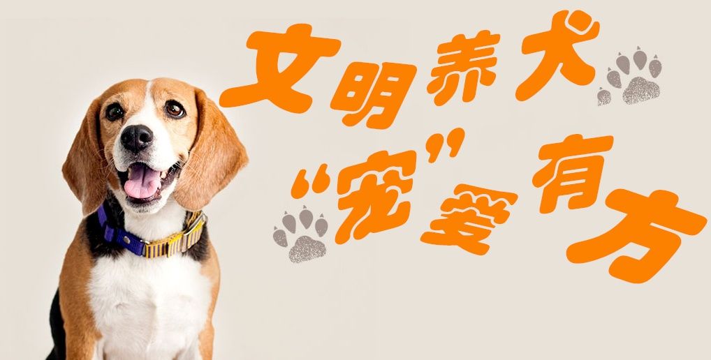 文明|“益”起文明养宠，看看顾村这个社区是怎么做的