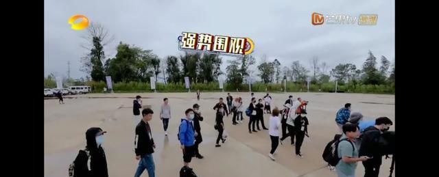  学好|尖叫鸡、压鞋、绑方向盘，明星学车这么“不正经”，能学好吗？