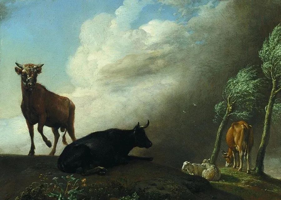 突爆|突爆大雷！蒸发数亿 几千人倾家荡产