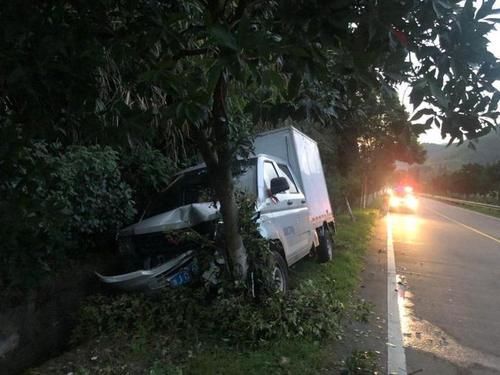  连夜|刚上岸的梭子蟹多少鲜啊！男子连夜开车上码头抢购，车撞了