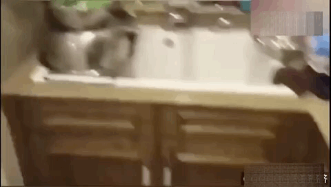 黄磊|黄磊吐槽张艺兴?了解这些内幕后就知道是不是“塑料”师徒情了