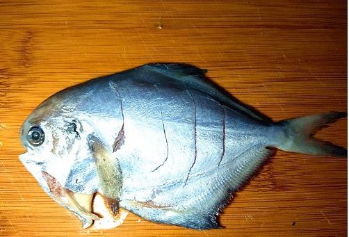 营养|遇到这鱼不手软，20元1斤贵点，但肉多刺少营养高，适合老人孩子