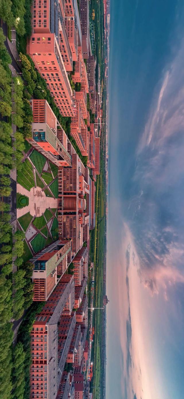 北洋园|啊,我的天大啊!