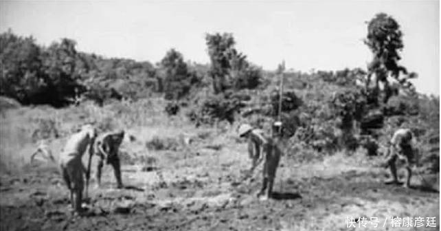 军队|假如日本让他做首相，二战或许会再持续几年，一个被二战耽误的人