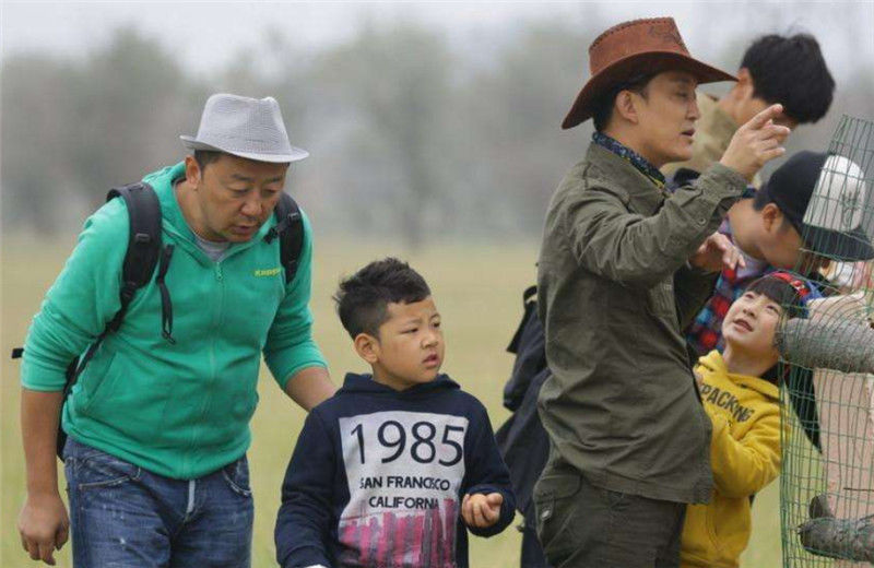  惨遭|话题度爆棚的综艺，却惨遭停播，这几档节目你看过吗？