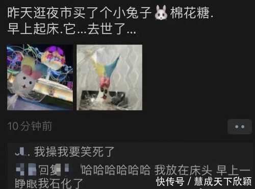 可爱|昨天在夜市买了一个超可爱的兔子棉花糖,然后……
