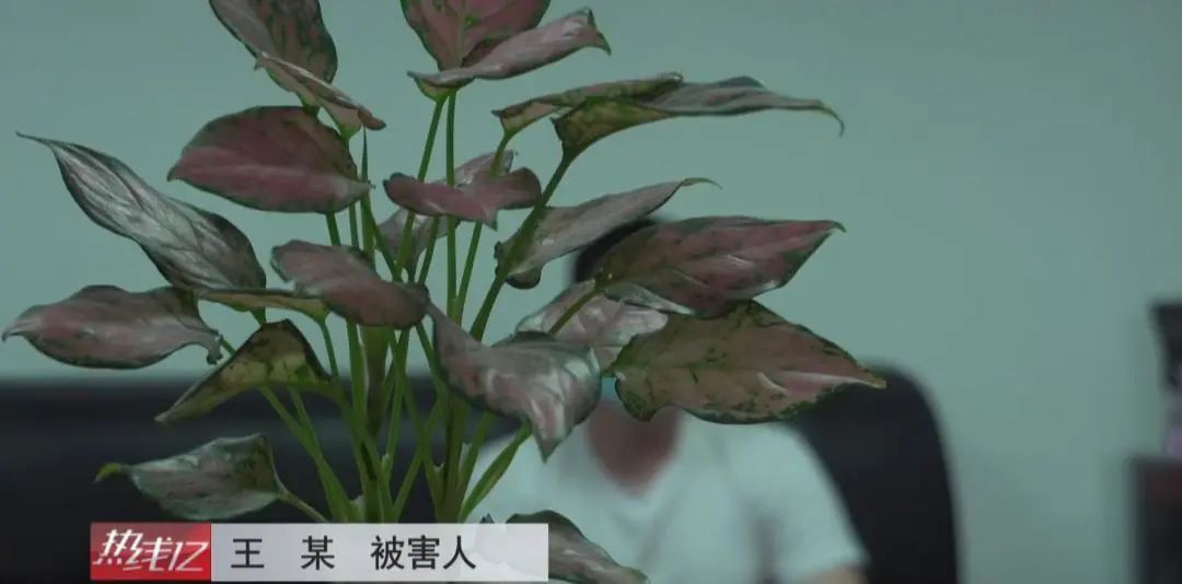  浮出|“性感女主播”邀裸聊？男子受骗不堪敲诈报警，背后团伙浮出水面……