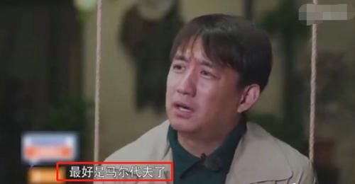  官方|《向往5》真的要去马尔代夫？官方的回应来了，蘑菇屋不是中餐厅