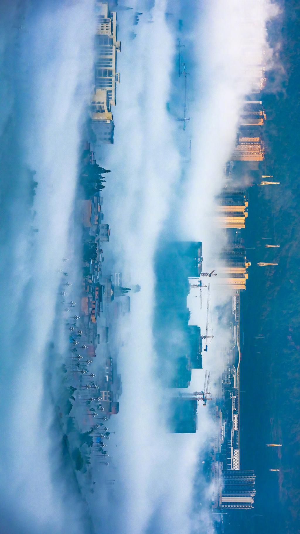  瞒不住|完了！雅安遍地大熊猫的事瞒不住了