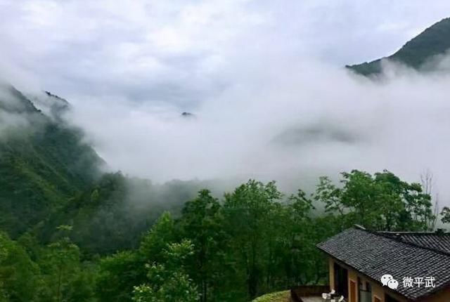  日子|将自己融于一朵花，花间伴山，把日子过成诗