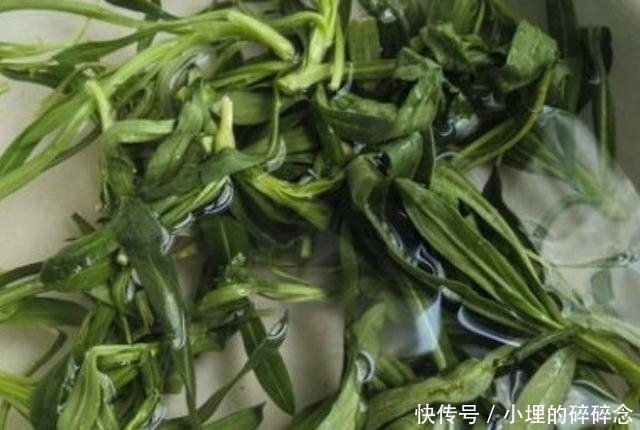 侵权请告知删除|北方特有的一种野草,被称“救命菜”能润肺止咳!