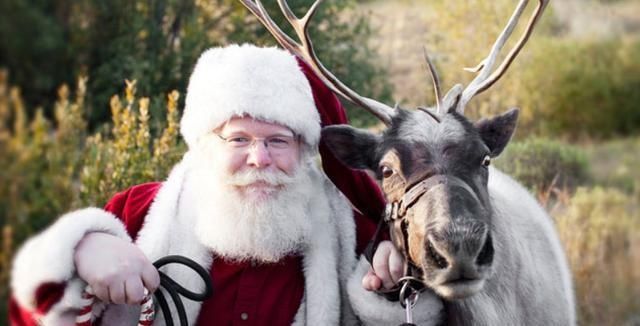 人类|圣诞老人用来拉雪橇的驯鹿,在人类这边,原来有另外的用途!