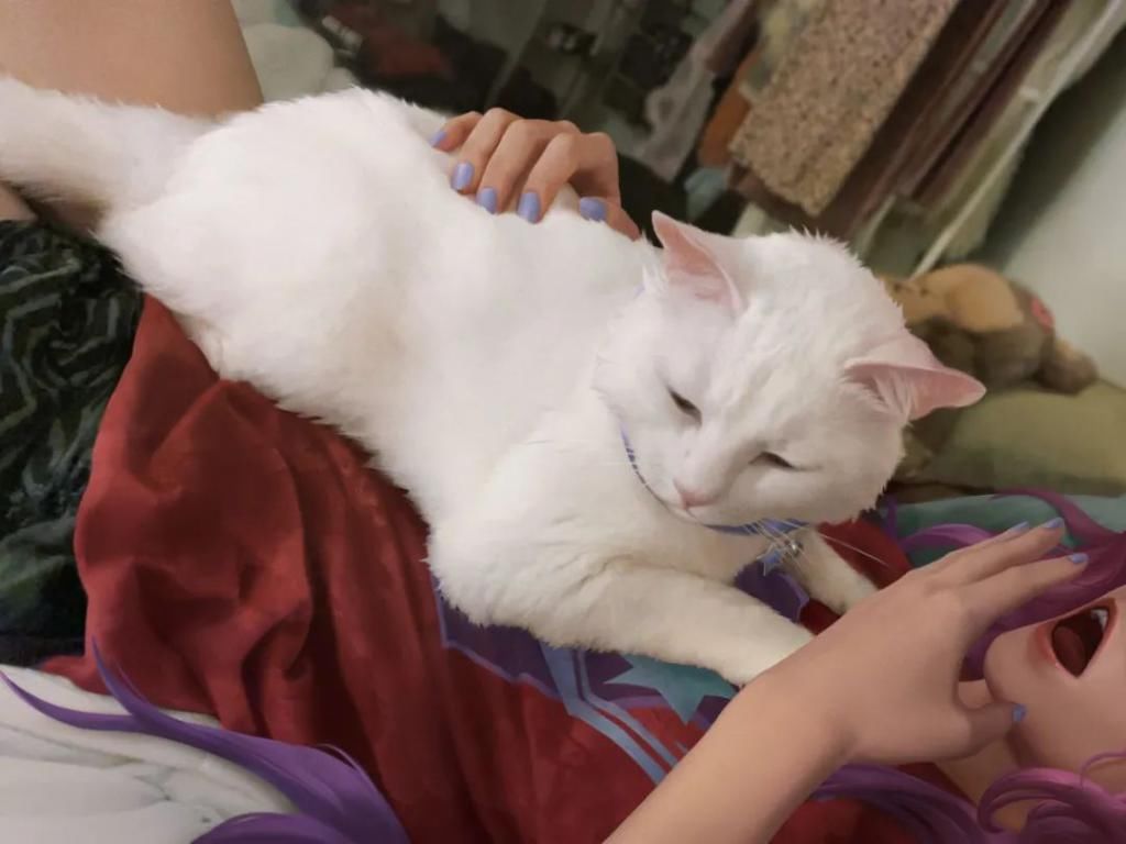 游戏|LOL的女英雄，怎么就成了推特上的网红？