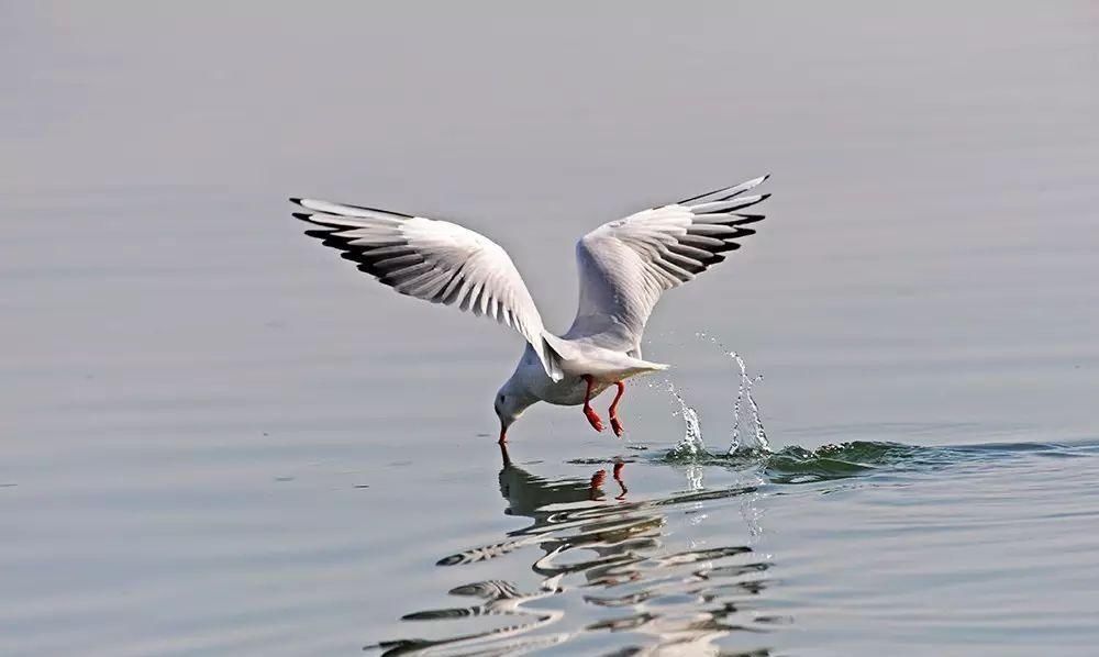 曾国藩|曾国藩:越是成熟的人,越是具有3种标志,若你身上有1个也是好事