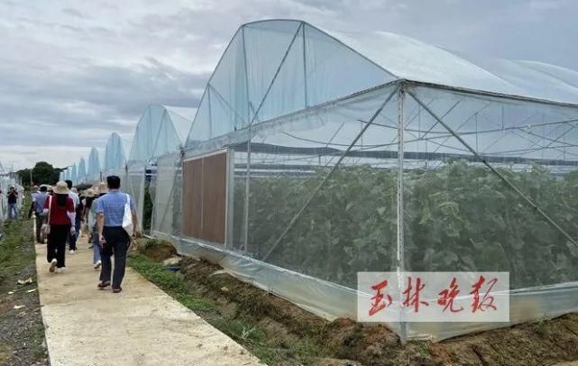 仁东镇鹏垌|令人骄傲！玉林这些地方的变化真大