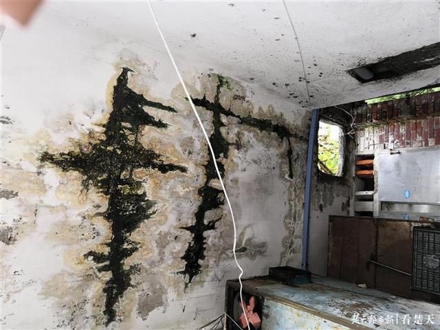  墙壁|墙壁漏水钢筋裸露，60年老房子成C级危房，60多户居民盼妥善处置