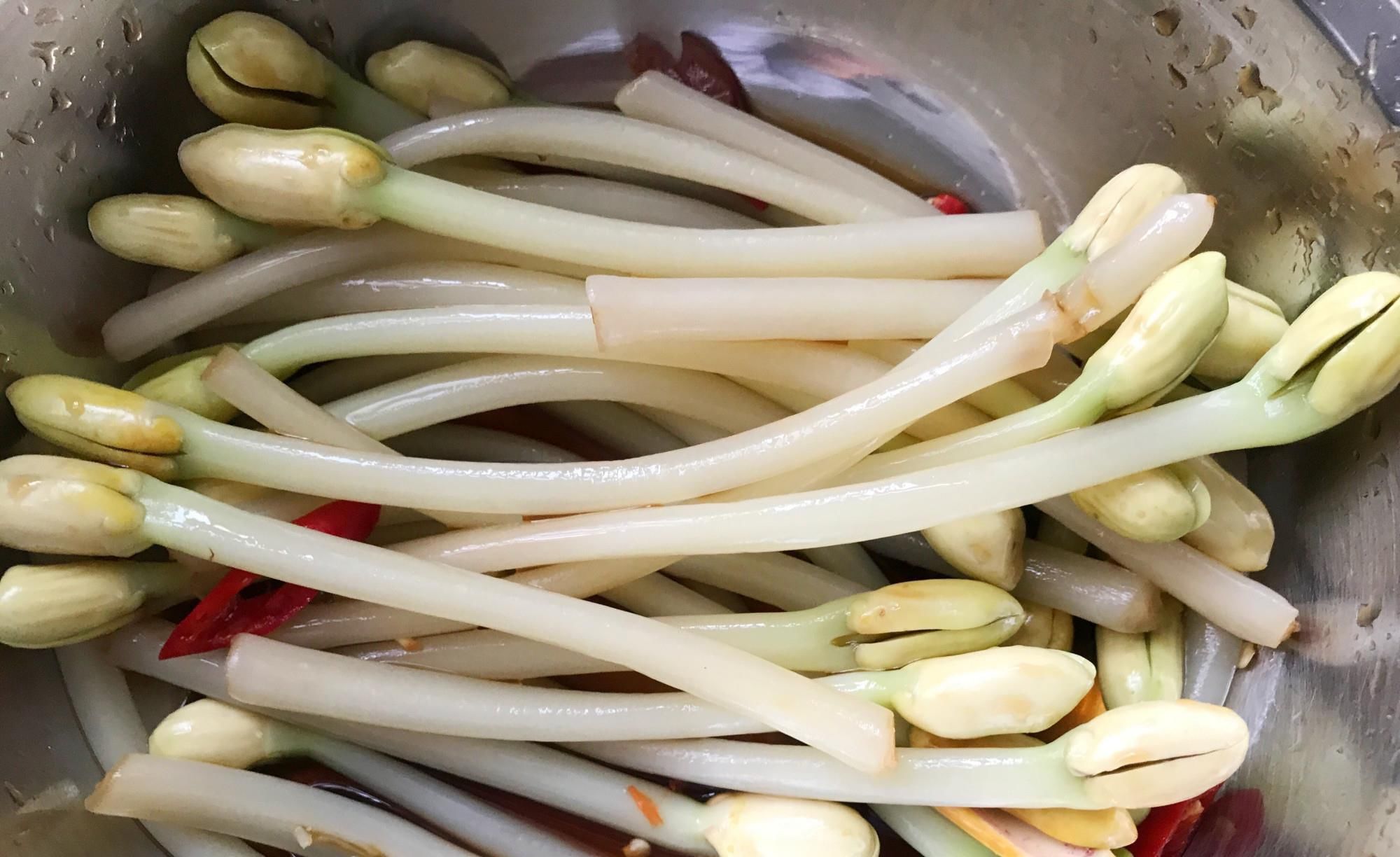  食用|这菜被誉为“万寿果芽”，减脂的人可以长期食用，凉拌炒菜都可以