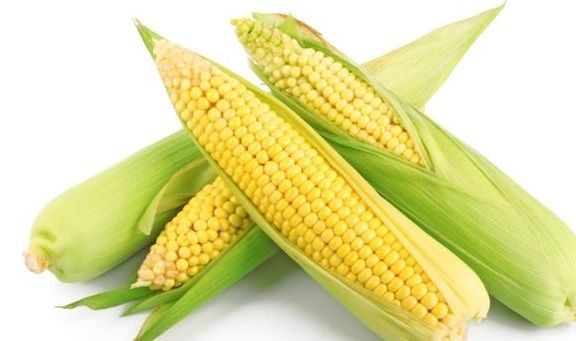 鲜艳|煮玉米加点它,煮出来的玉米颜色更鲜艳又香软,抗自由基活性最高