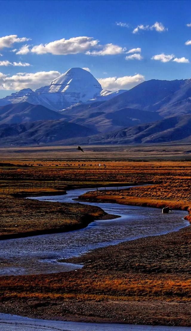 想象|不必远赴澳大利亚就能拥有的粉红湖、空中草原,西藏之西比想象中更惊艳!