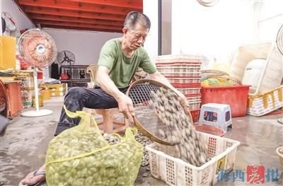  批发市场|日夜颠倒，他们为您精选鱼虾蟹贝