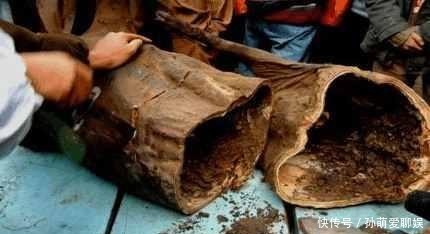 历史|饮食历史：杀一头猪三十年后吃什么味道？美食专家这样评价