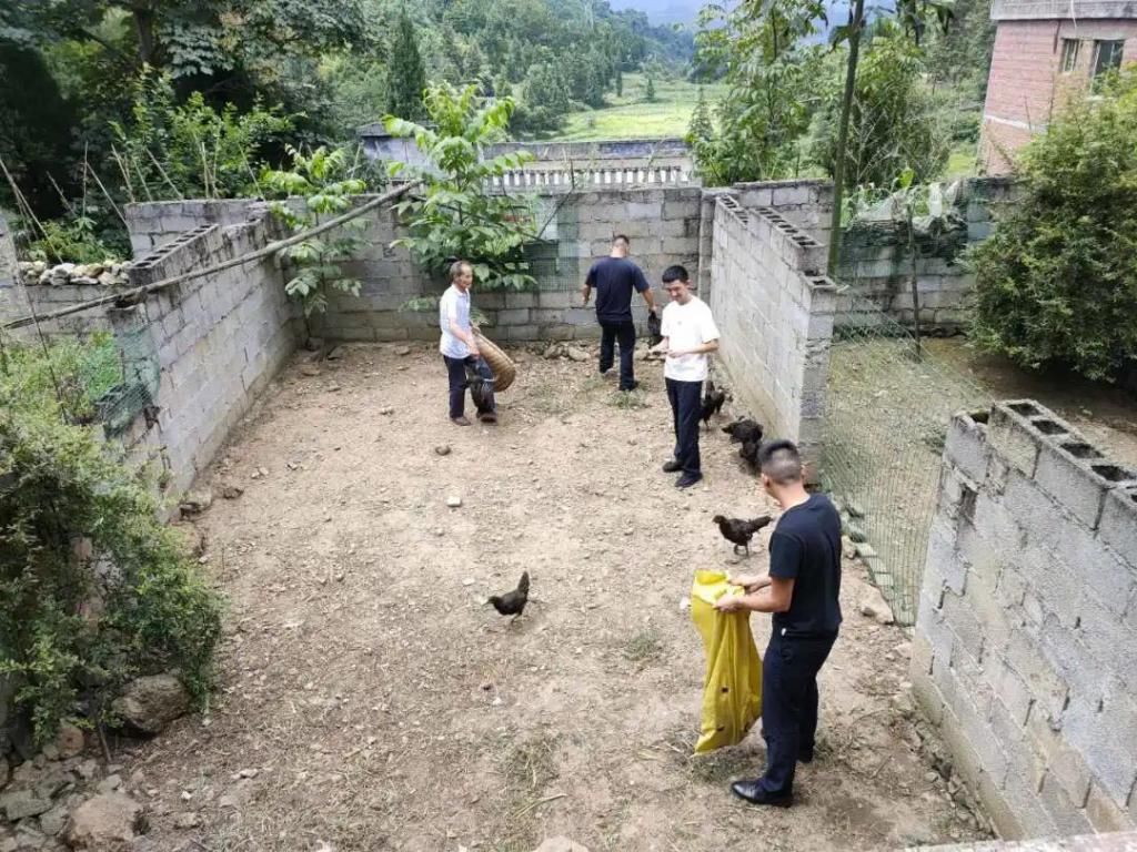  反蚀|偷鸡不成反蚀把米，兄弟二人双双落网