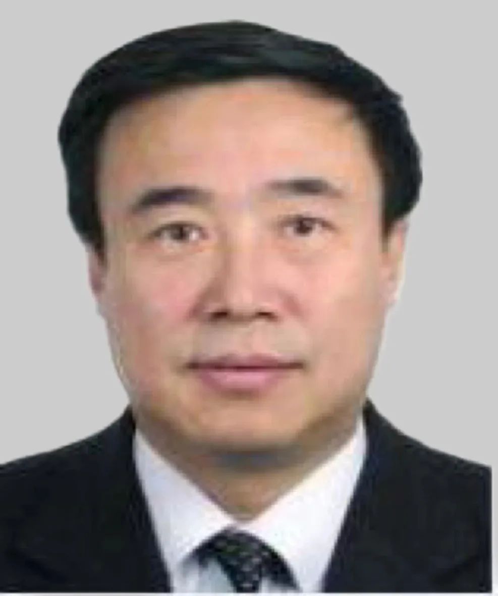 绥化市原副市长王雪峰接受审查调查