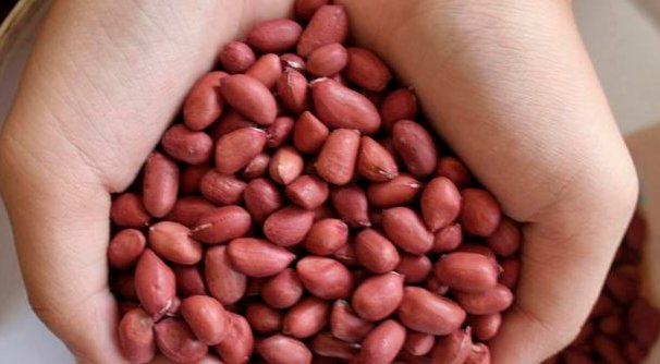  早起|早起空腹吃“5粒花生米”，坚持吃两周，三大好处找上你
