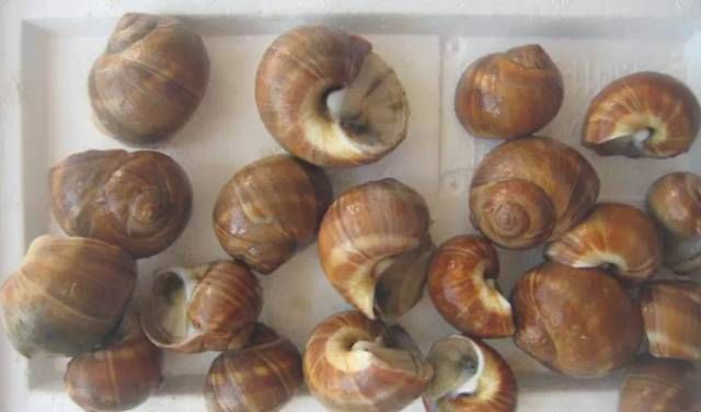 今日|今日开海!这84种海鲜,你都认识吗?你真的会吃海鲜吗?