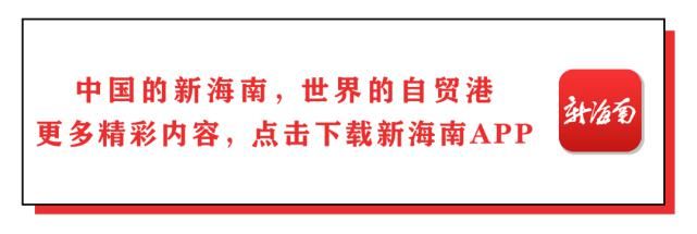  阿莲|他找了个伴侣，父母也很满意，送去6.6万“彩礼钱”后，突然发现…