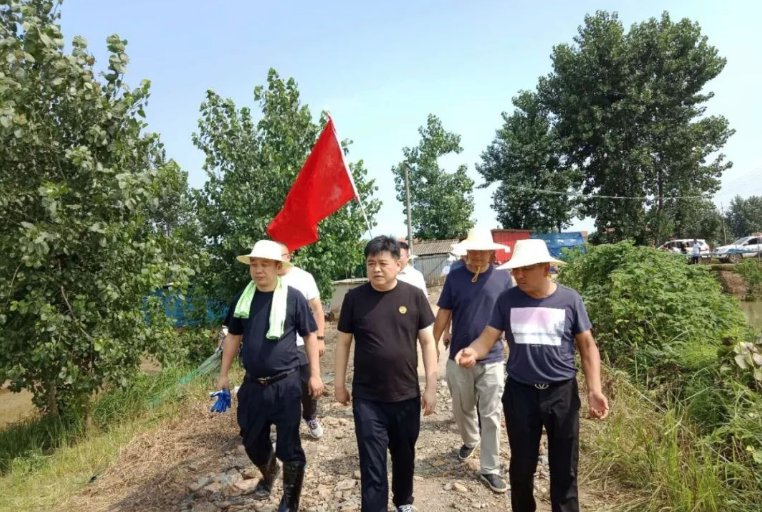 抗洪|防汛抗灾:黄梅县各地各单位全力防汛抗洪六