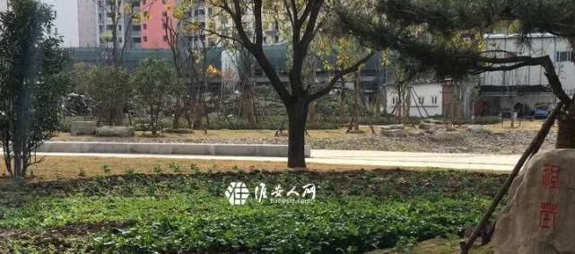 广场|【气愤】大不敬！这是你们跳广场舞的地？