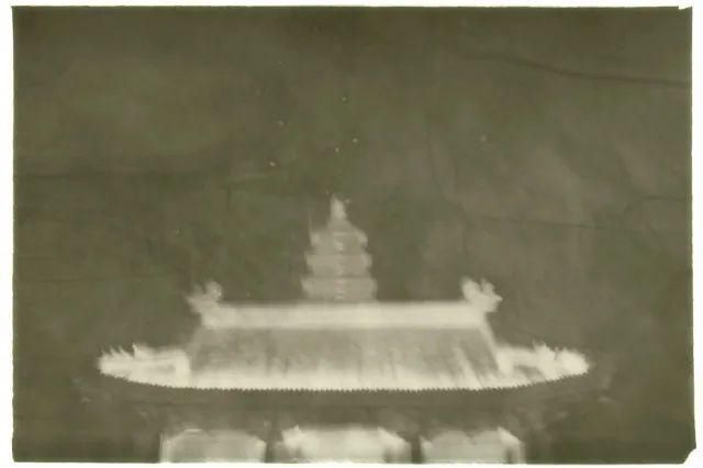  停用|摄影圈｜佳能宣布所有新产品停用两个术语 / 女摄影师凭水中拍鸟成北美打鸟第一人